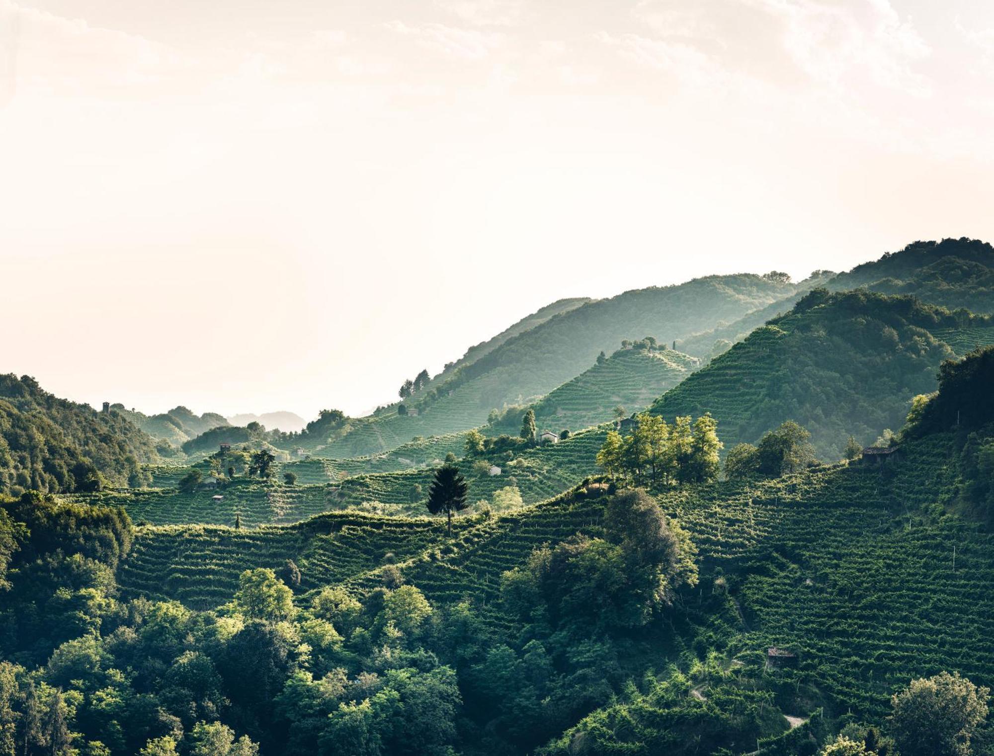 Locanda Da Lino Pieve di Soligo Bagian luar foto